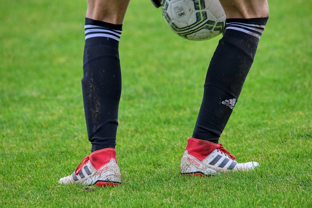 从历史来看 从历史来看