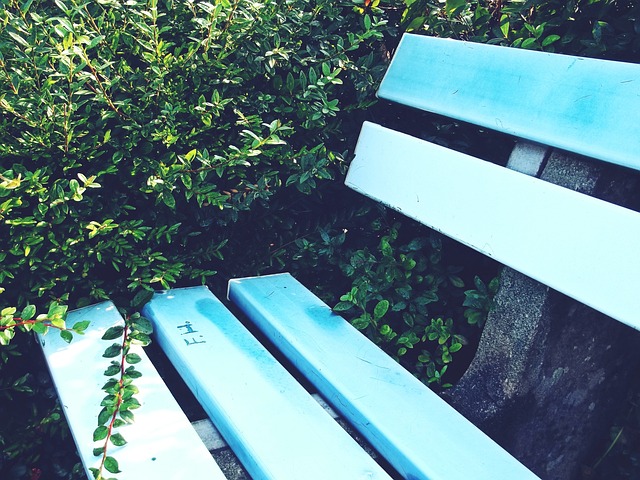 便被寄予厚 便被寄予厚