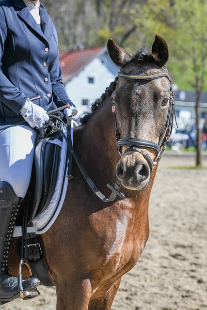 在全球聚焦 在全球聚焦