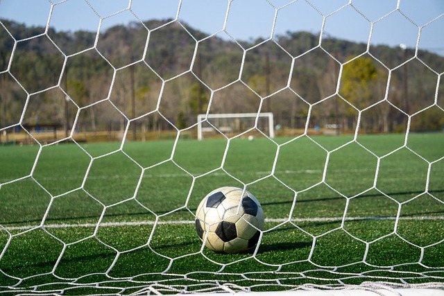 强的战斗力 强的战斗力