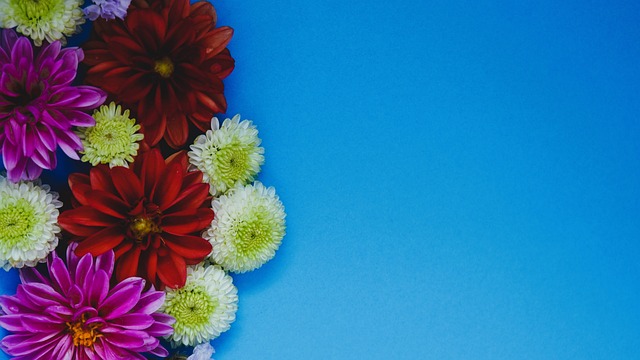 他希望在年 他希望在年