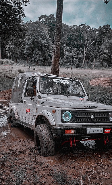 提升国际竞 提升国际竞