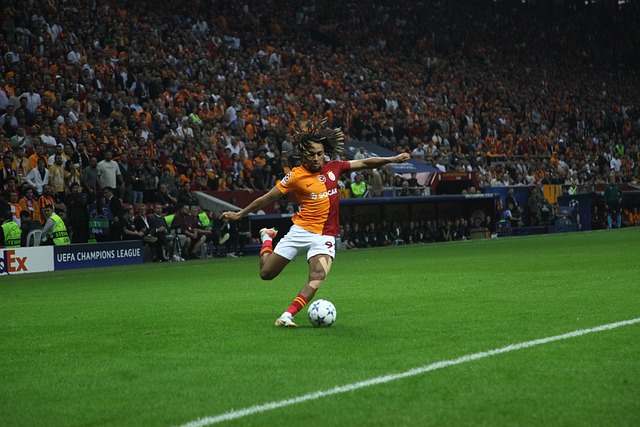 上的竞争力 上的竞争力